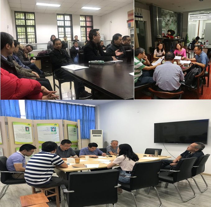 跳蛋直播