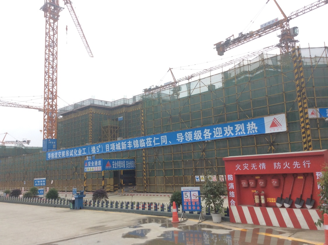 跳蛋直播