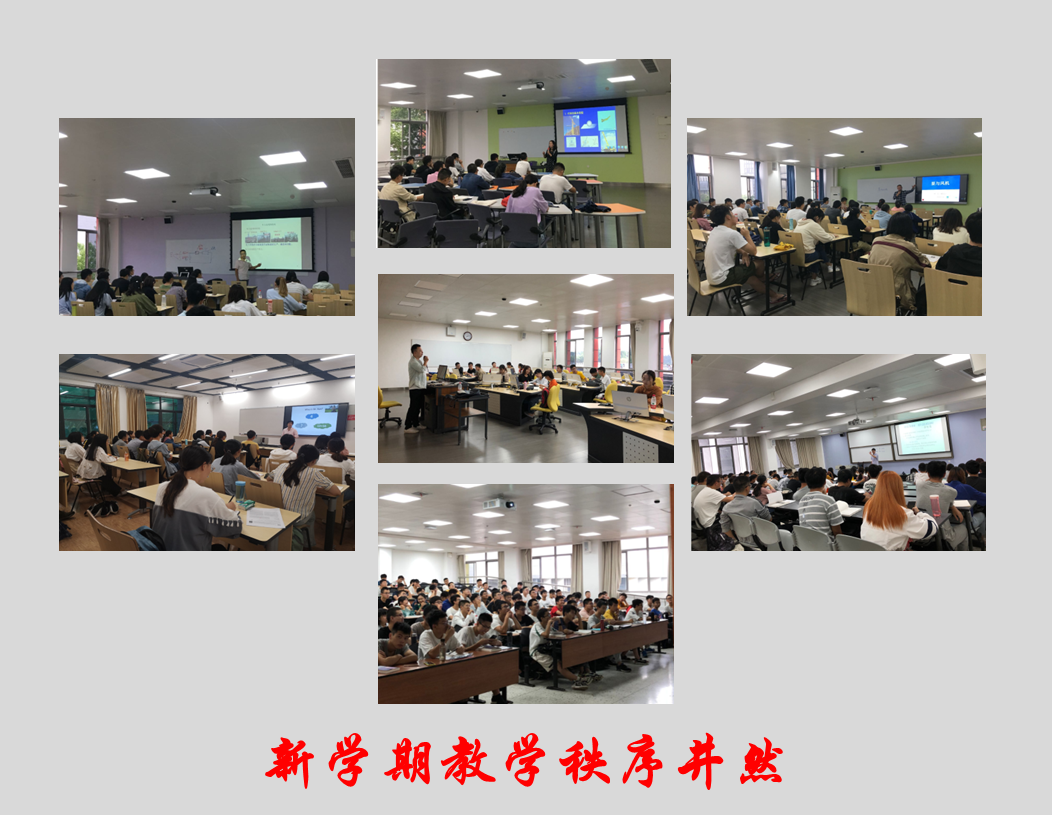 跳蛋直播