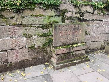 跳蛋直播