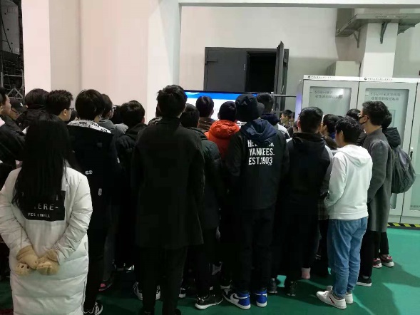 跳蛋直播