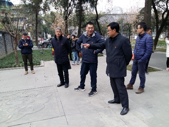 跳蛋直播