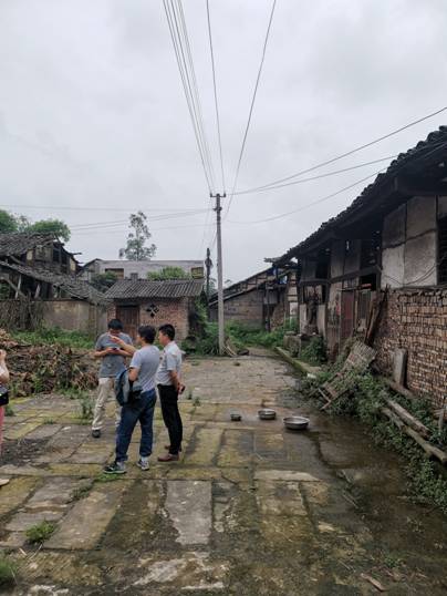 跳蛋直播