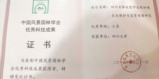 跳蛋直播