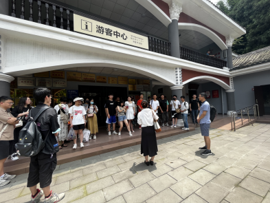 跳蛋直播
