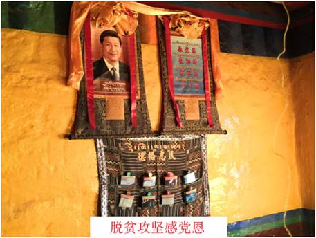 跳蛋直播