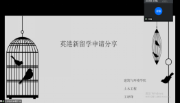 跳蛋直播