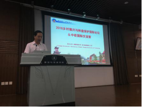 跳蛋直播