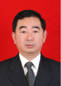 跳蛋直播