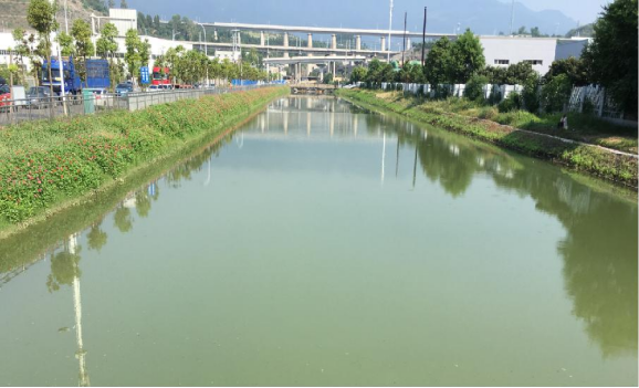 跳蛋直播