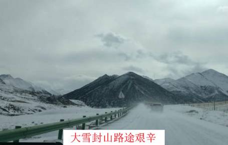 跳蛋直播