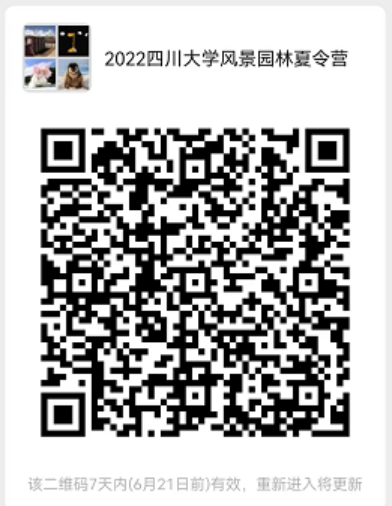 跳蛋直播